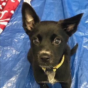 Meet your Posher, Lori